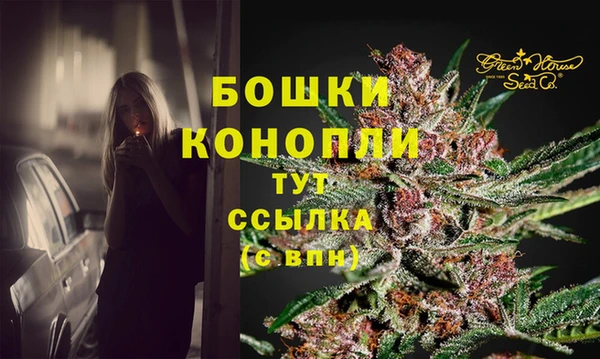 тгк Инсар