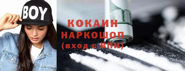 спайс Инта