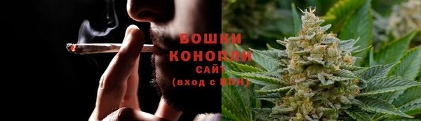 тгк Инсар