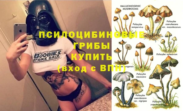 спайс Инта