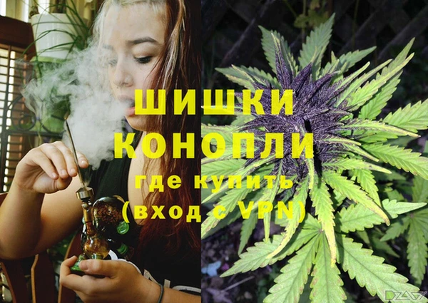 спайс Инта