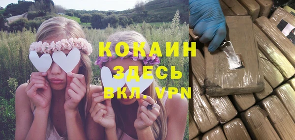 спайс Инта