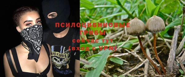 спайс Инта