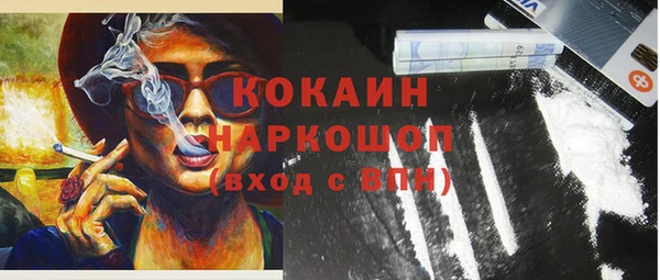 тгк Инсар