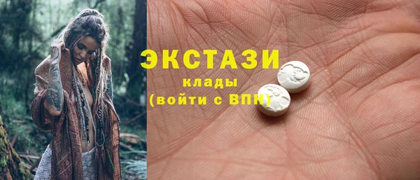 тгк Инсар