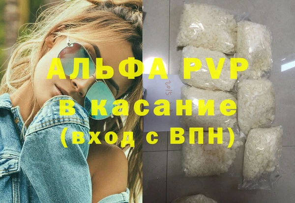 тгк Инсар